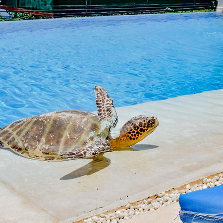 Villa Del Pescador Zihuatanejo Exteriér fotografie