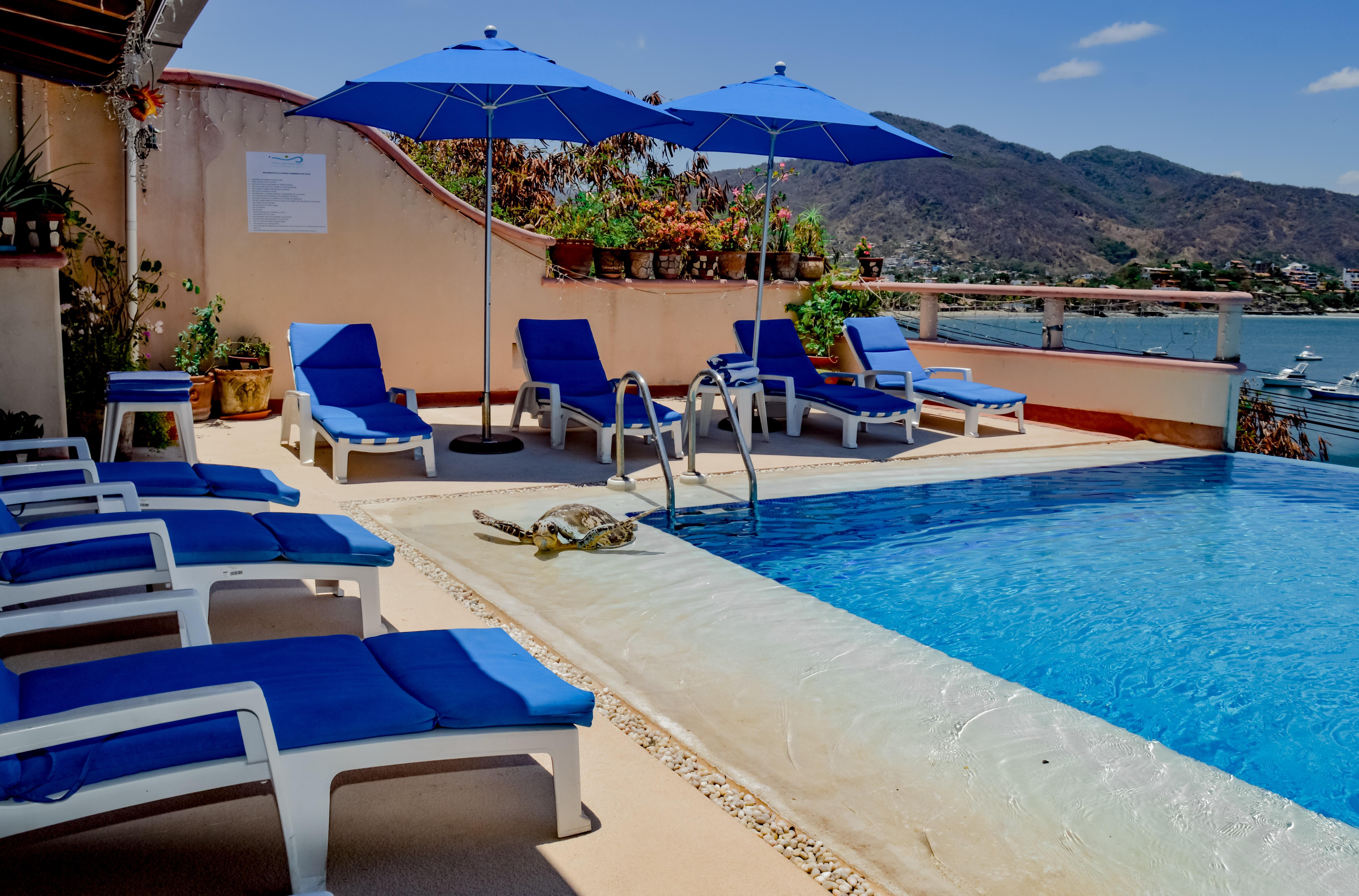 Villa Del Pescador Zihuatanejo Exteriér fotografie